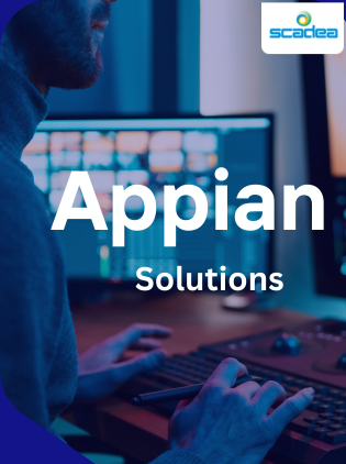 How Can Appian Solutions Help Your Business?