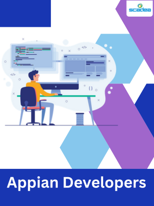 How to Find the Best Appian Developer for Your Needs?