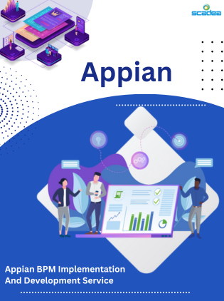 Appian BPM Implementation and Development Service