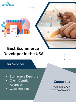 Best E-commerce Developer in USA