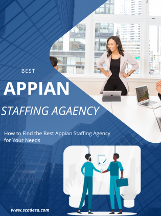 How to Find the Best Appian Staffing Agency for Your Needs?