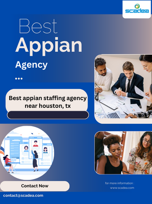 Best Appian Staffing Agency Near Houston,TX