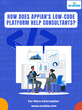 How does Appian’s low-code platform help consultants?