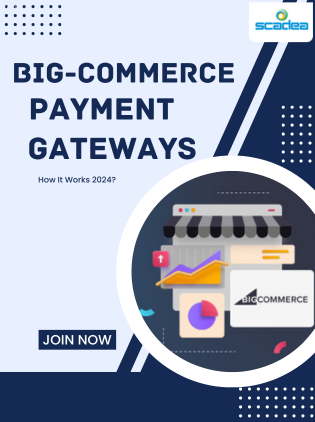 BigCommerce Payment Gateways: How It Works 2024?